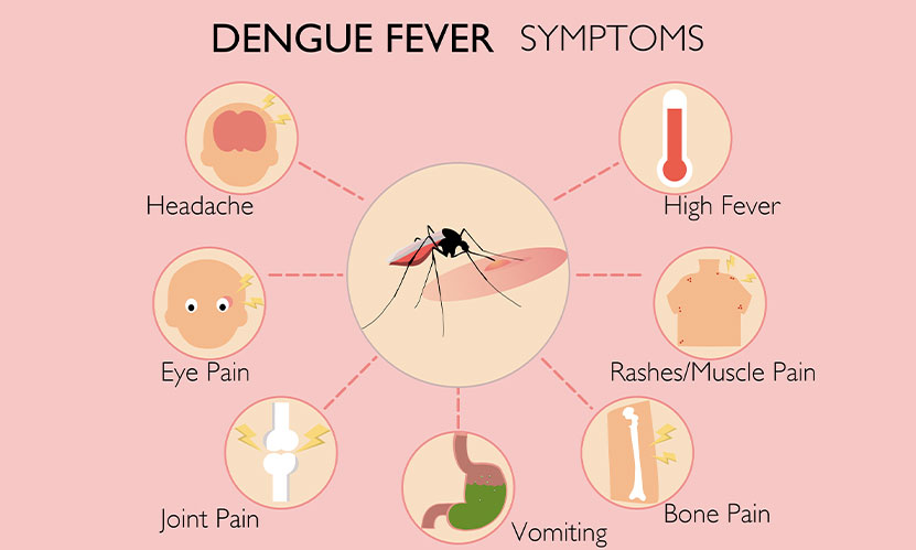 Dengue: Don't ignore these symptoms