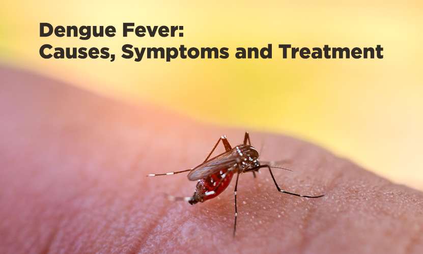 Dengue Fever: Causes, Symptoms and Treatment
