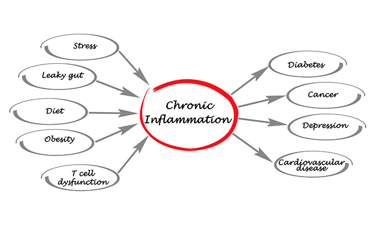 All you need to Know about Chronic Inflammation