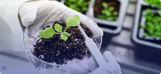 Biotechnology