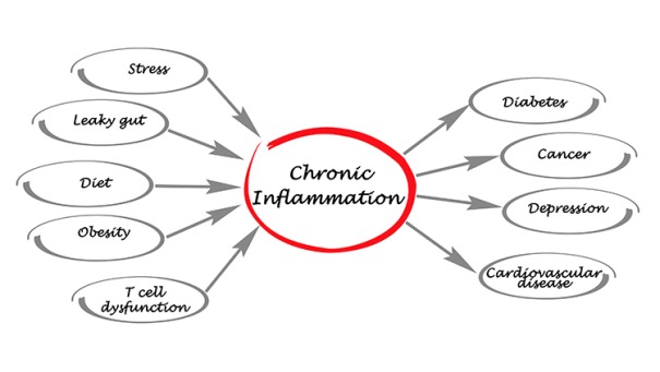 All you need to Know about Chronic Inflammation