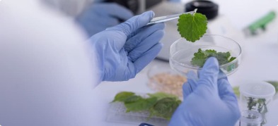 What is Biotechnology? A Complete Guide for Beginners 2026